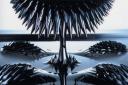 FerroFluid
