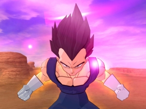 Dbz Wii