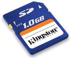 Kingston 1GB