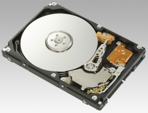 Fujitsu 300 GB 2.5