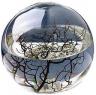 Ecosphere enclosed ecosystem