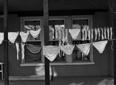 self cleaning underwear