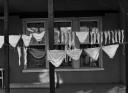 self cleaning underwear
