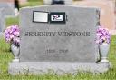 Serenity Vidstone Panel