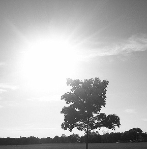 2006 warmest year on record