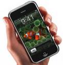 The Apple iPhone has gotten the FCC approval to go ahead with launch