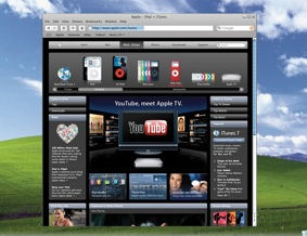 Bugs found on Safari web browser for windows within hours of launch