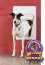 PetSafe SmartDoor