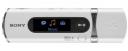 Sony Walkman NWZ-B100 series media player