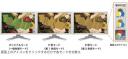 Eizo FlexScan color-blind examples with the monitor