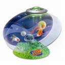 Fish In Space