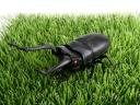 Rechargeable RC Beetle Battle is strange fun