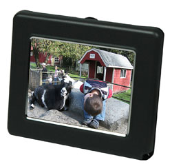 Digital Foci Pocket Album OLED Series