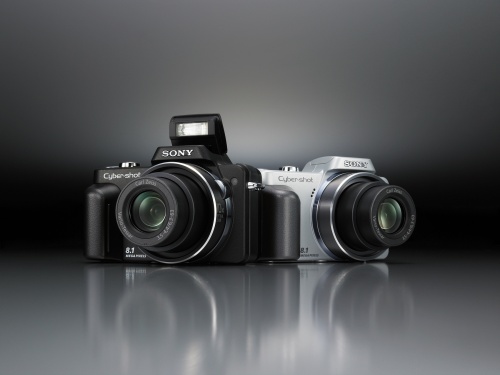 Sony Cyber-shot DSC-H10