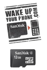 sandisk-12gbmicrosdhc.jpg