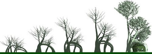 Fab Tree Hab grows homes from native trees over 5 years to create the structure