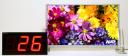 auo-24inch.thumbnail.jpg