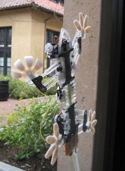 Stickybot robotic lizard climbs on glass