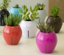 Grobal self-watering planters keep plants alive