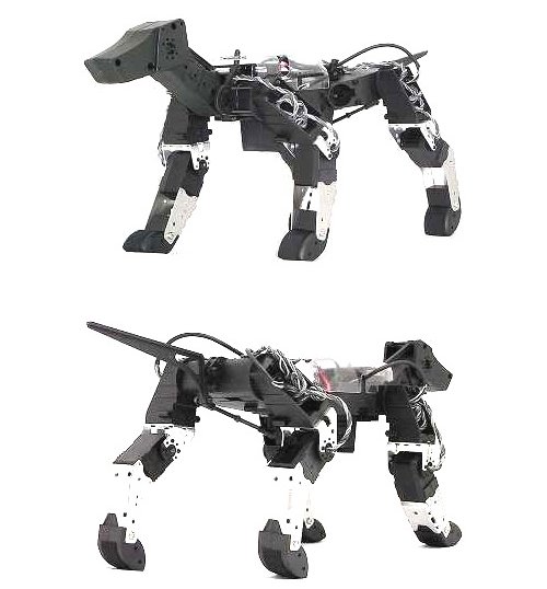 HPI G-Dog is next generation of robotic dogs