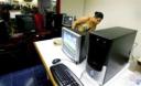 Cubans can now buy first legal PCs