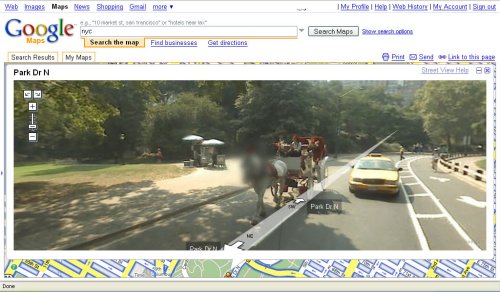 Google takes the privacy of Horses very seriously