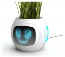 Pet Plant lets plants express themselves