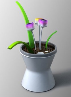 Artificial plant concept lets you practice