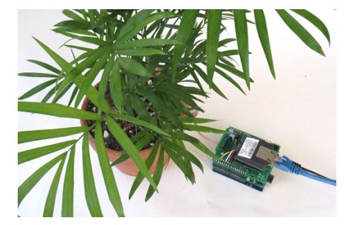 Let your plant express itself on Twitter