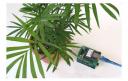 Let your plant express itself on Twitter