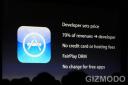 iPhone app store in July, tons of apps