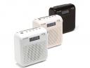 Pure One Mini: Portable DAB radio