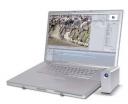 LaCie Little Big Disk Quadra 1TB