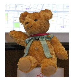 Bear from AI becomes reality, only talks GPS