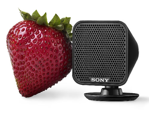 Sony HT-IS100