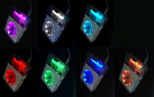 CRYSTAL CHAMELEON