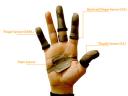 Pressure Profile Systems FingerTPS