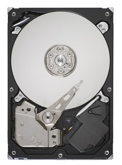 Seagate Barracuda 7200.11 1.5TB HDD