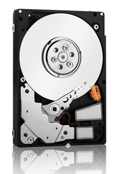 Western Digital VelociRaptor Enterprise Edition