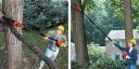 Cordless electric chain saw on a stick