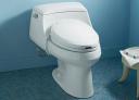 Kohler C3 Toilet Seat Bidet with remote