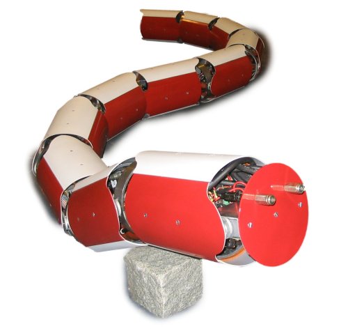 Anna Konda: Firefighting snake robot