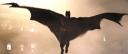 Israeli students design batsuit for flight