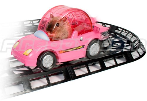 Critter Cruiser racetrack makes your Hamster dizzy