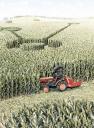 The secret behind crop circles exposed