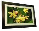 Smartpants debuts 32-inch WiFi digital photo frame