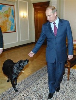 Vladimir Putin puts a satellite collar on his dog