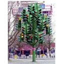 The Traffic Tree is one confusing stop-light