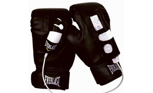 Everlast Wii Boxing Gloves