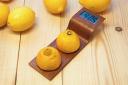 Digital Clock powered by lemons